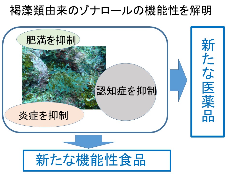 シワヤハズ　ゾナロール