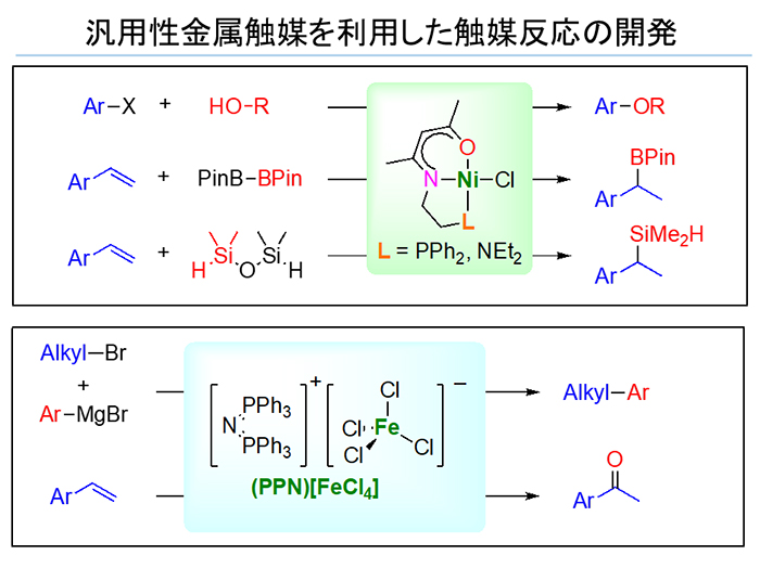 分子触媒化学(橋本)研究室 分子触媒化学(橋本)研究室