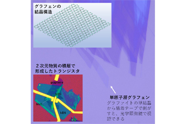 先端電子デバイス（中払）研究室