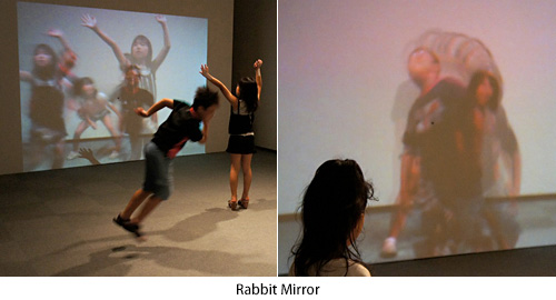 Rabbit Mirror