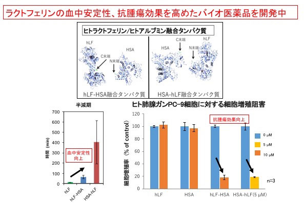 抗腫瘍効果を高めたﾊﾞｲｵ医薬品開発中