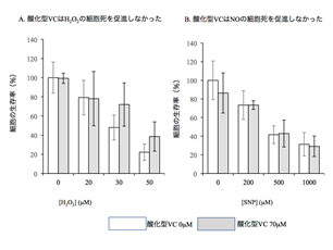 図3：酸化型VCは細胞死を促進しない