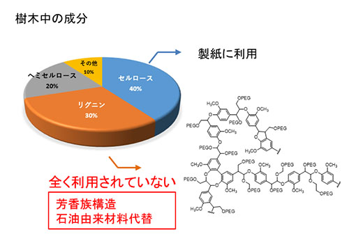 20230810_yamashita03.jpg