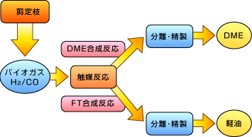 剪定枝からのバイオ燃料合成フロー