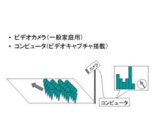 関連イメージ