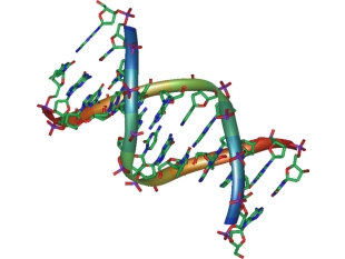 DNA