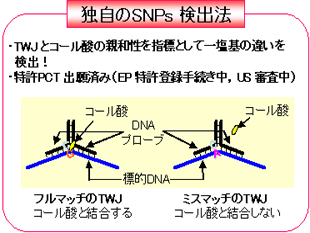 関連イメージ